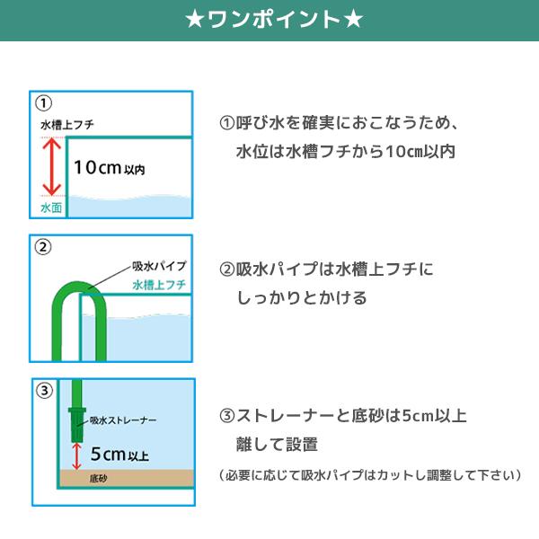EHEIM エーハイム エーハイムフィルター500 50Hz 東日本用 EHEIM エーハイム エーハイムフィルター500 50Hz 東日本用