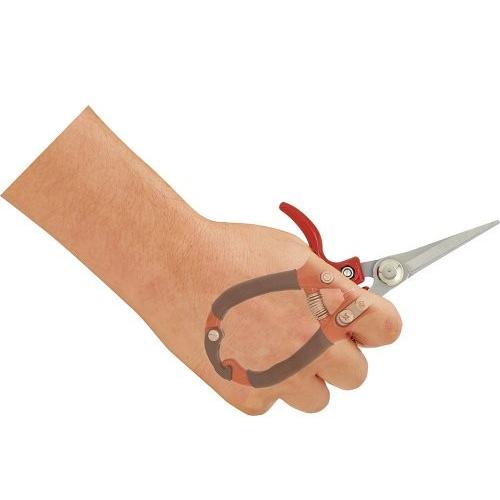 千吉 【メール便】千吉 丸型ハンドル園芸鋏(芽切) SGP-38