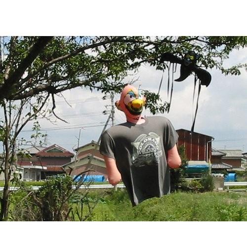 龍宝丸 カカシBOY K-001 4989586451160 [忌避商品 防鳥用品] : ミナト