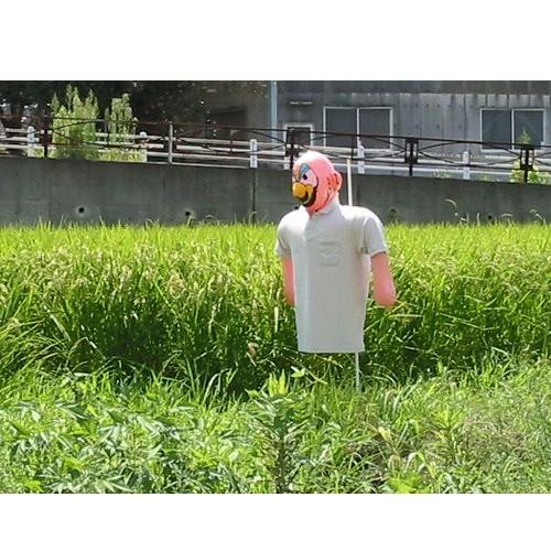 龍宝丸 カカシBOY K-001 4989586451160 [忌避商品 防鳥用品] : ミナト