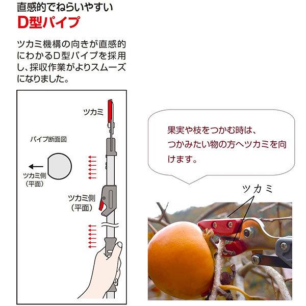 アルス 軽量伸縮式高枝鋏 ズームチョキエコノ 採収タイプ 2m 160ZD-2.0-3D [剪定 枝切 ハサミ はさみ]｜minatodenki｜05