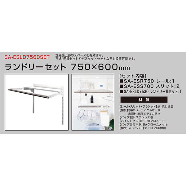 ARTIST(アーティスト) ES-rack ランドリーセット W750×D600mm SA
