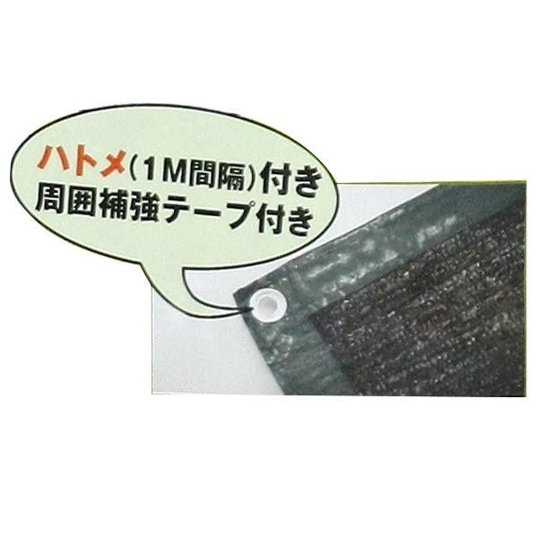 ダイオ化成 遮光ネット 黒 2m×6m 周囲ロープ補強 ハトメ付き [ラッセル