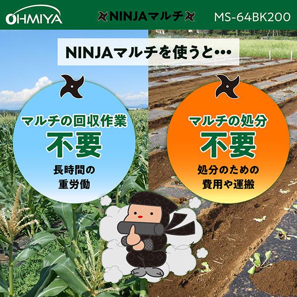 オーミヤ NINJAマルチ200m MS-64BK200 00400001 [OHMIYA マルチ 生分解