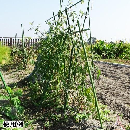 シンセイ 園芸支柱 イボ付/内キャップ式 11φ×900mm×100本セット [11mm