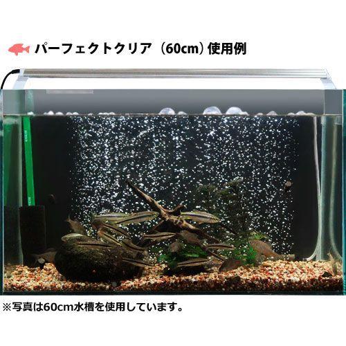 ゼンスイ 水槽用LEDランプ PLUS 30cm (パーフェクトクリア/ストロング