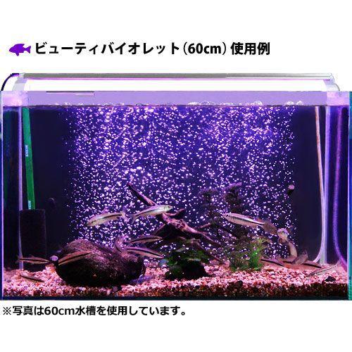 ゼンスイ 水槽用LEDランプ PLUS 60cm (パーフェクトクリア/ビューティ