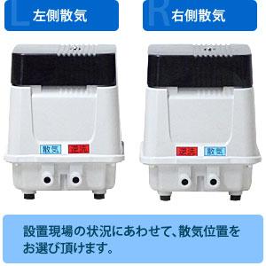安永エアポンプ エアーポンプ EP-80G EP-80E バイオシーダー5包 安永エアポンプ エアーポンプ EP-80G EP-80E バイオシーダー5包