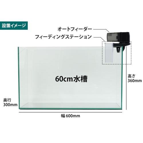 EHEIM（エーハイム） 水槽用 自動給餌器 オートフィーダー 3581060