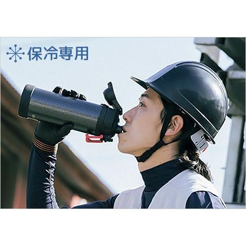 THERMOS（サーモス） 真空断熱ハードワークボトル 1L FHS-1000WK/HTB