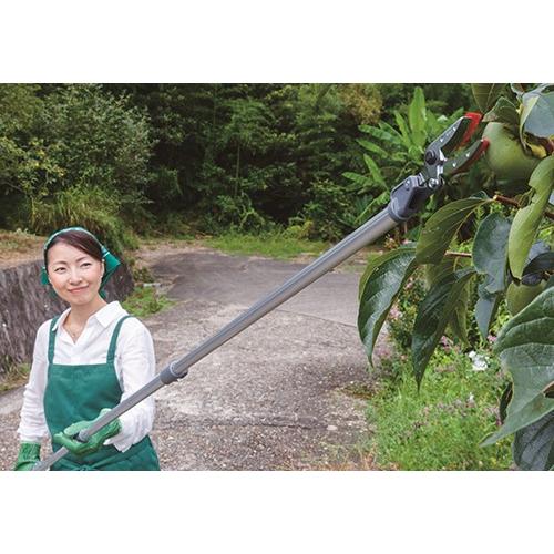 アルス 採取型高枝鋏 ズームチョキエコノ 160ZD-3.0-3D＋砥石＋刃物