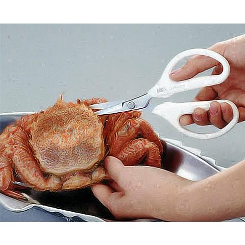 アルス 【メール便】アルス 多用途・ステンレス製はさみ アルス