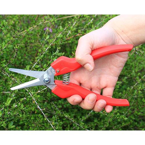 フェルコ 剪定鋏 Felco310 切断能力25mm 園芸用 剪定バサミ 剪定ばさみ 剪定はさみ ミナト電機工業 通販 Paypayモール