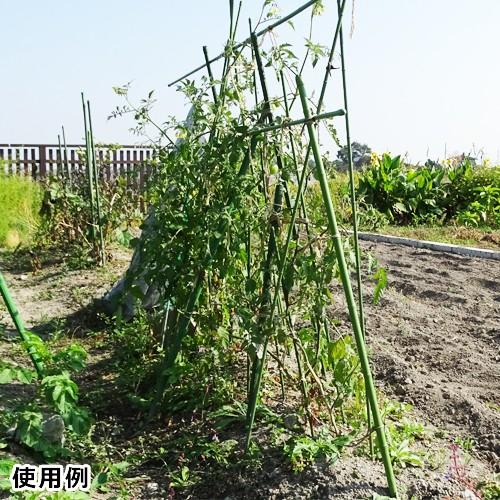 シンセイ 園芸支柱 16φ×2700mm 50本セット (イボ付/内キャップ式