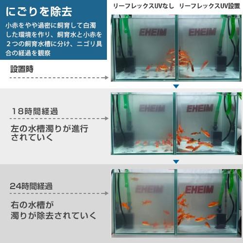 EHEIM エーハイム リーフレックスUV殺菌灯 350 (適合水量80