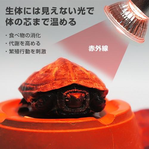 SUNDOG マイクロコンポ SDC-982 新品 ペットペットゾーン マイクロインフラレッド 20W＋マイクロン