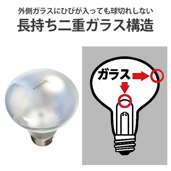 ゼンスイ ストロング バスキングスポットランプ 40W (昼用 日光浴保温