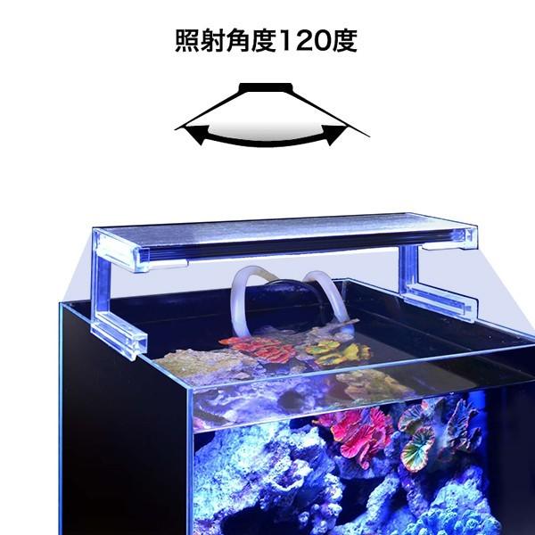 ゼンスイ 超薄型 LEDランプ 45cm水槽用 ブルーホワイト nano ゼンスイ 超薄型 LEDランプ 45cm水槽用 ブルーホワイト nano