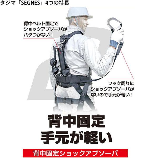 Tajima タジマ ランヤード一体型セット セグネス 301 [フル Tajima タジマ ランヤード一体型セット セグネス 301 [フル