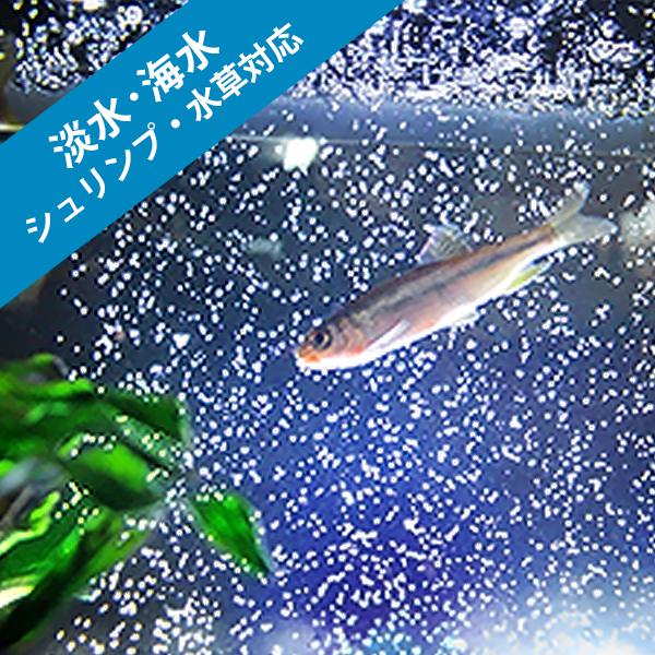 ゼンスイ 水槽用クーラー ZTK-1000 (冷却水量1000L以下/淡水・海水両用