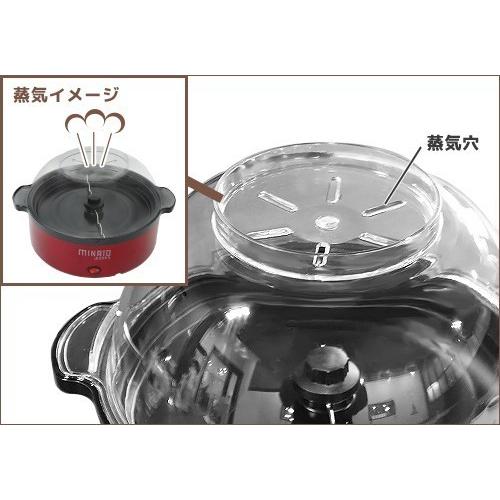 ミナト ポップコーンメーカー POP専用 6L 替えボウル 【対応機種