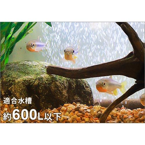カミハタ UV殺菌灯 ターボツイストZ 18W (約600L以下の水槽に カミハタ UV殺菌灯 ターボツイストZ 18W (約600L以下の水槽に