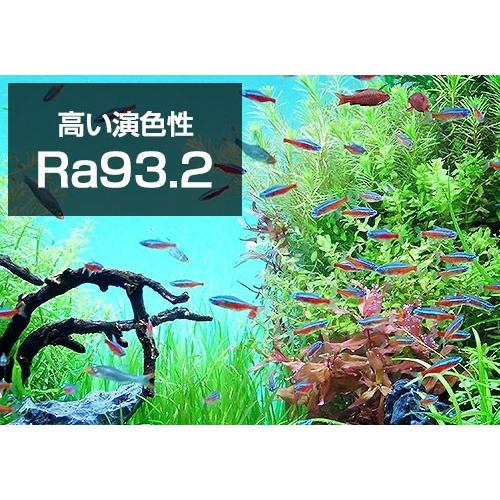 ゼンスイ LEDライト 90cm水槽用 マルチカラーLED 900 (リモコン付き ゼンスイ LEDライト 90cm水槽用 マルチカラーLED 900 (リモコン付き