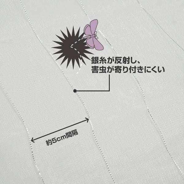 シンセイ 防虫ネット 1mm目 2.1m×50m センターライン入り : ミナト