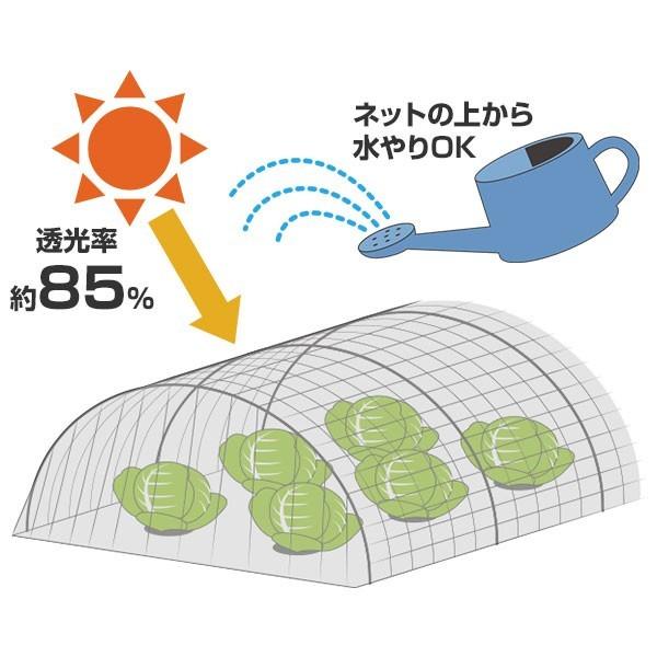 シンセイ 防虫ネット 1mm目 2.1m×50m センターライン入り : ミナト