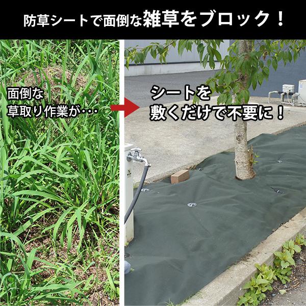 最大50%OFFクーポン150G 不織布 防草シート 1m×30m モスグリーン 除草