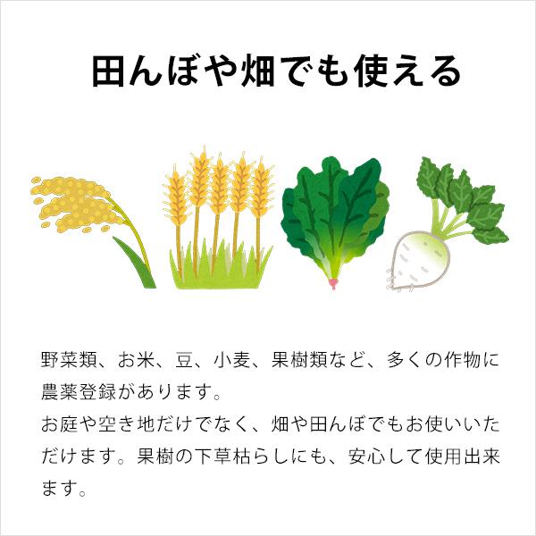 サンフーロン 除草剤 5L [ラウンドアップのジェネリック農薬 グリホサート系 除草 雑草 園芸]｜minatodenki｜05