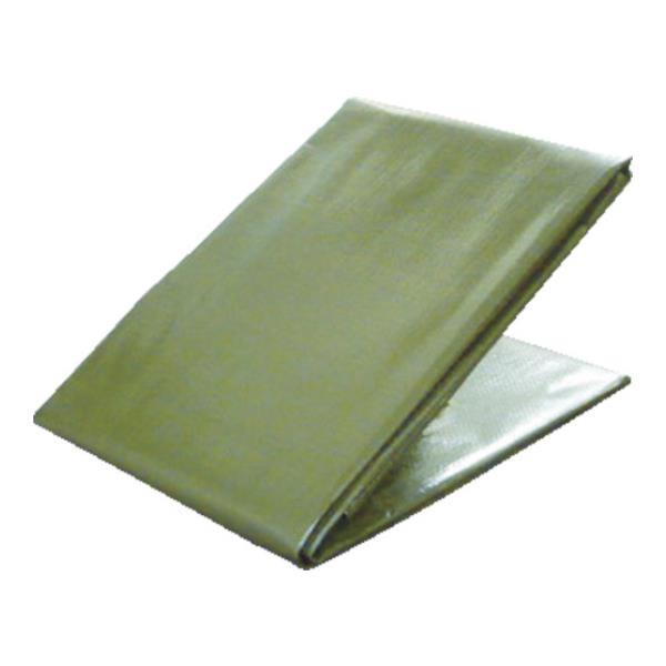 萩原 R S9 0 通販 R S9 0 Diy 工具 Tpod5454 3000odグリーンシート5 4m 5 4m 萩原 Tpod5454 ミナト電機工業 おしゃれ ブルーシート