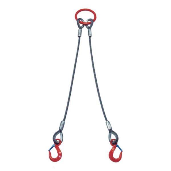 大洋 2本吊 ワイヤスリング 5t用×2m 2WRS5TX2 1個入 [2WRS 5TX2][r20][s9-832]