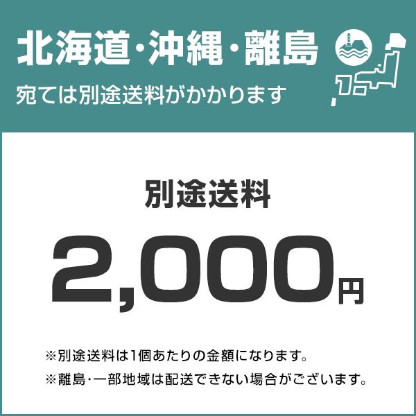 ゼンスイ 水槽用クーラー ZC-1300α (冷却水量1300L以下/淡水・海水両用