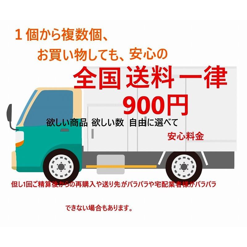 SPASHAN（スパシャン） 2025 SPASHAN チタンコーティング 光沢 疎水 防