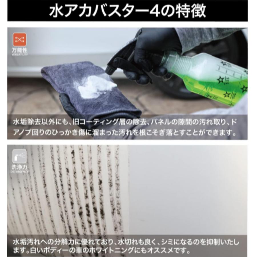 SPASHAN（スパシャン） アイアンバスター9.5 水垢バスタ−5 SPASHAN