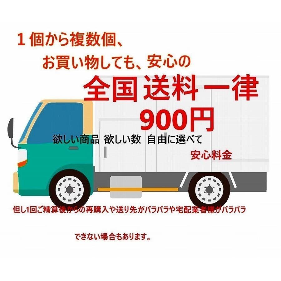 スパシャン 公式 SPASHAN 2026 500ml コーティング剤 車 洗車 最強 疎水 水垢落とし 撥水 洗車用品 カー用品 光沢 高耐久 最大6ヶ月耐久 カーボンセラミック 単品 スパコレ メンテナンス用品 ギフト SPASHAN SPASHAN official shop スパシャン2025