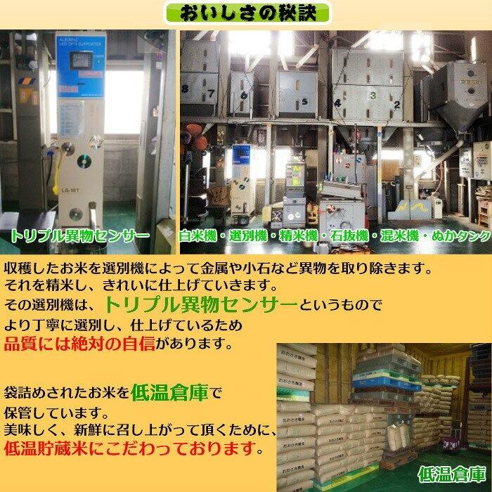 新米 令和５年産 特A 【あすつく】 契約栽培 京都丹波産こしひかり100