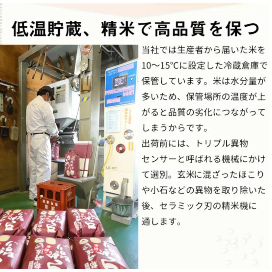 コシヒカリ 新米 令和6年産 【発送2日程】 契約栽培 京都丹波 コシヒカリ 新米 令和6年産 【発送2日程】 契約栽培 京都丹波