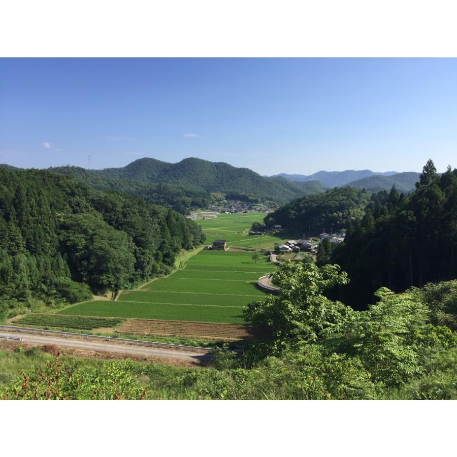 野菜詰め合わせセット　無・減農薬　 京野菜　 丹波産旬の野菜・新米・地たまご・無添加お味噌詰め合わせセット｜minatoya3710｜07