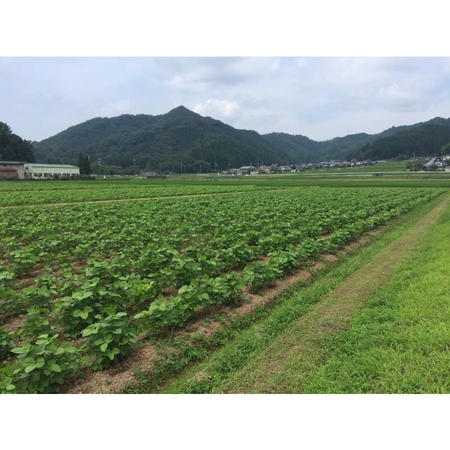 野菜詰め合わせセット　無・減農薬　 京野菜　 丹波産旬の野菜・新米・地たまご・無添加お味噌詰め合わせセット｜minatoya3710｜09