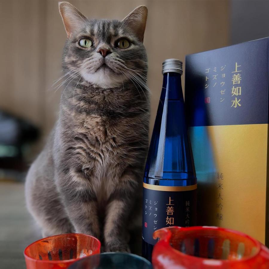 美品上下セットH.I.D 定価17万以上 上善如水 日本酒 爆買 お酒 ギフト プレゼント 白瀧酒造 純米大吟醸