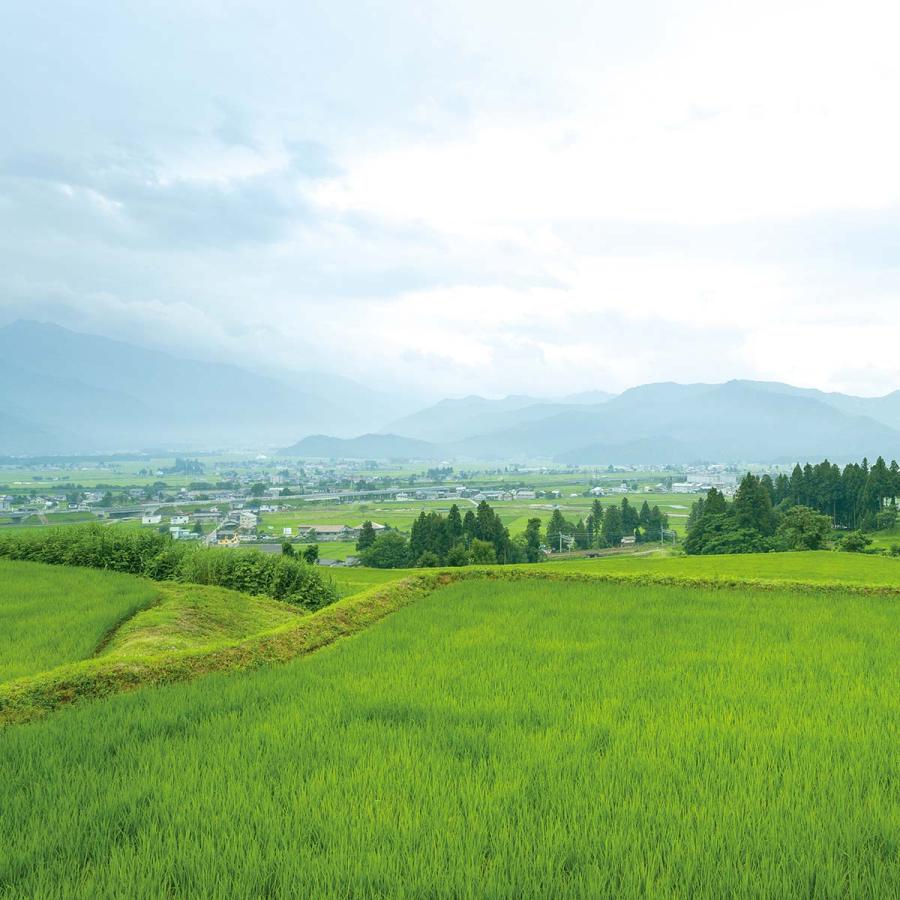 日本酒 お酒 ギフト プレゼント 白瀧酒造 魚沼ギフトセット 720ml×2本入り | 白瀧酒造 | 16