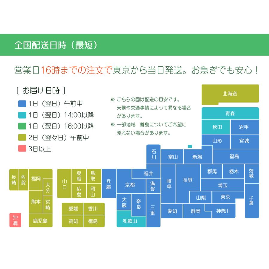 礼服 喪服 レンタル フルセット ピンタック レディース 翌日配達 大きいサイズ 前開き 通夜 葬式 葬儀 法事 授乳 前開き 17号 夏物 夏用｜minclo｜16