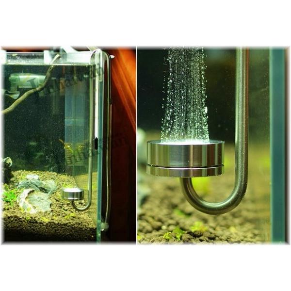 ステンレス 製 ディフューザー Co2 拡散器 水槽 水草 添加エア アクアリウム Ada キスゴム 吸盤付 平底小径 長さcm 送料無料 Ctr D25 Ctori D25 輸入雑貨のお店 マインドワン 通販 Yahoo ショッピング