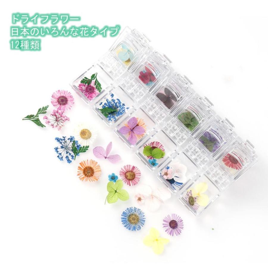 ドライフラワー 48種類 4ボックス セット 押し花 パーツ ネイル ハーバリウム レジン 素材 花材 かすみ草 デコレーション 送料無料 Mmk O71 Mmoka O71 輸入雑貨のお店 マインドワン 通販 Yahoo ショッピング
