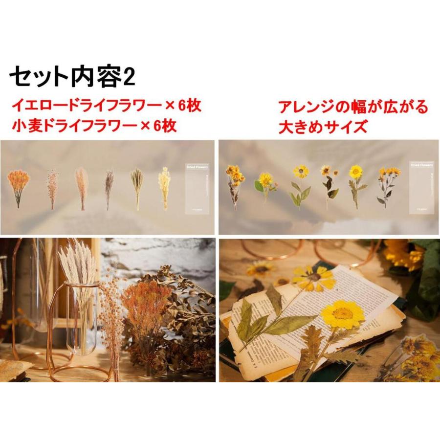 装飾用 フレークシール 8テーマ 252枚 レトロ ガーデン 蝶 花 植物 羽 シール 日記 カレンダー スマホケース アルバム デコ 送料無料 Mmk Q74 Mmoka Q74 輸入雑貨のお店 マインドワン 通販 Yahoo ショッピング