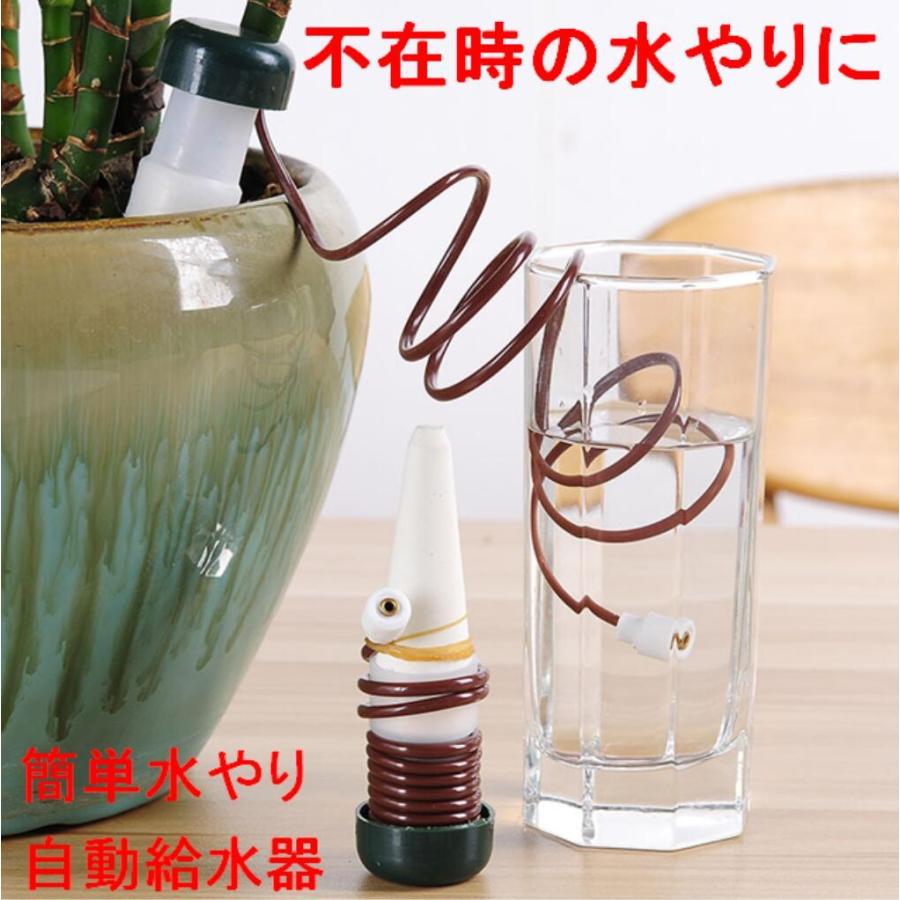 ペットボトルで植物に自動給水 ペットボトル フタ 植木鉢 植物 自動給水器 給水 ガーデン キャップ 自動 花 自動水やり 花壇 畑 ガーデニング 灌水 散水 園芸 観葉植物 水やり当番 水やり プランター じょうろ セルフプラント散水スパイク12パック自動ドリッパー灌漑