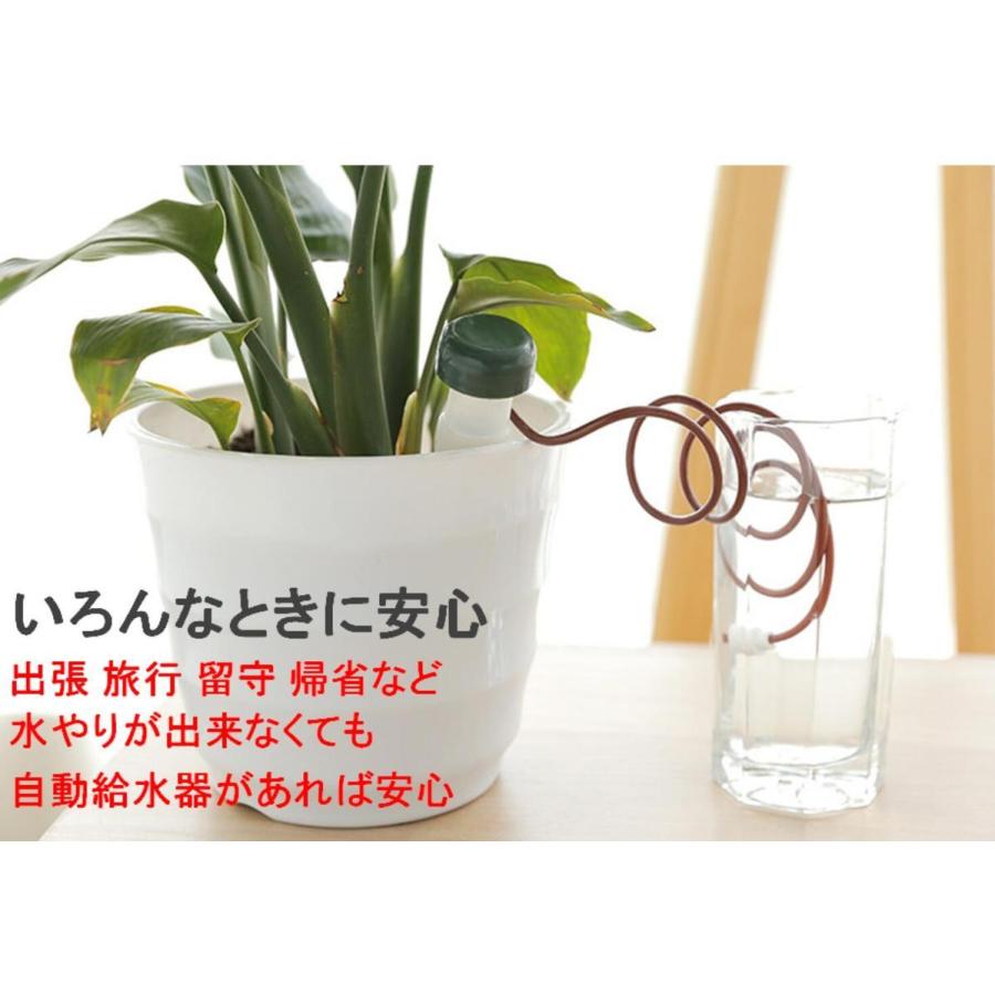 簡単 水やり セット 自動給水器 16個 自動水やり ホース 留守 旅行 植物 鉢植え 盆栽 野菜 花 植木鉢 植物ポット 給水 送料無料 Mmk R64 Mmoka R64 輸入雑貨のお店 マインドワン 通販 Yahoo ショッピング