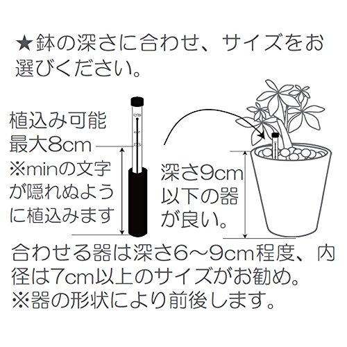 Planterior 水位計 各サイズ (S)｜minda-ken｜02